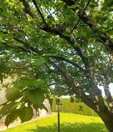 Il Tiglio Bianco Sienne