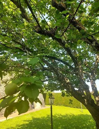 Il Tiglio Bianco Siena